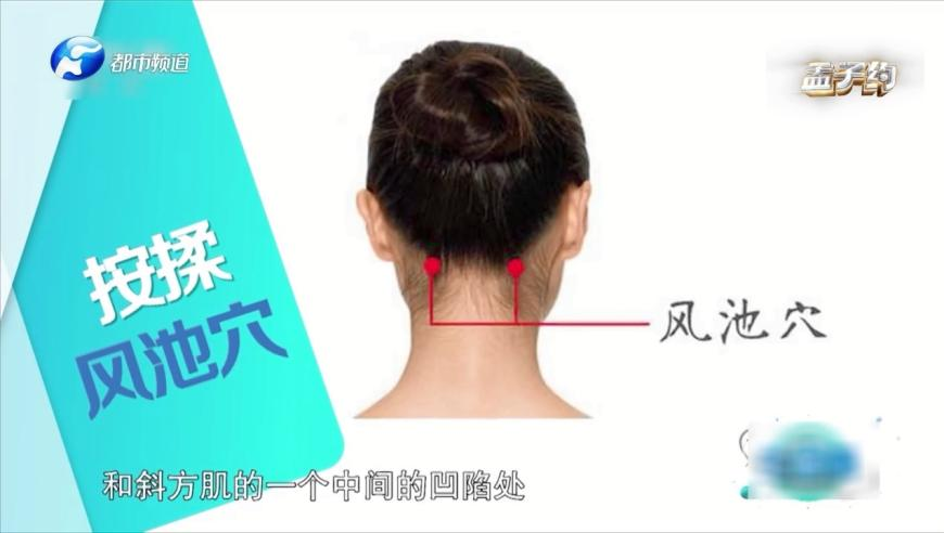 湖人vs开拓者,2025年资料大全免费,展开解析落实_入门版V8.26