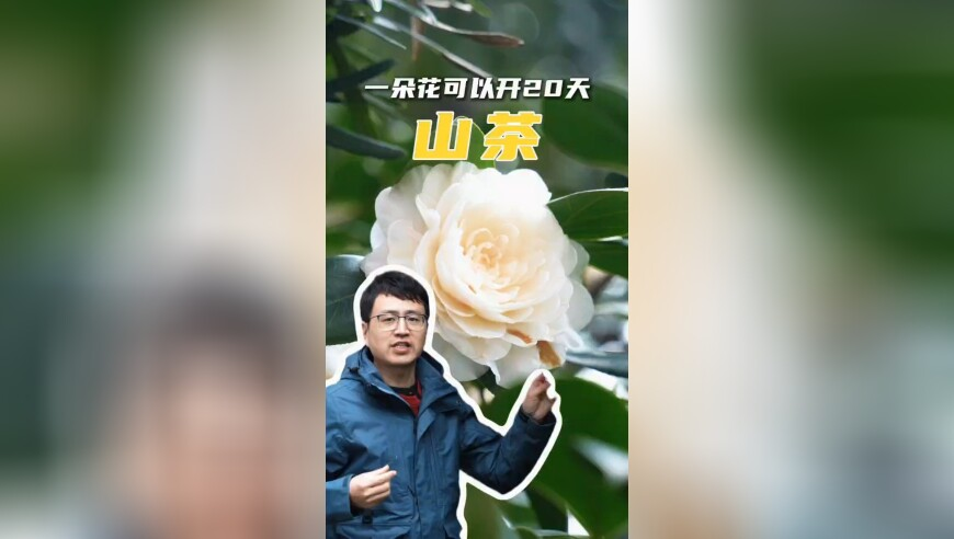 杭州评分2.6分的快餐,管家婆资料精准一句真言,多元化方案执行策略_云端版V1.64